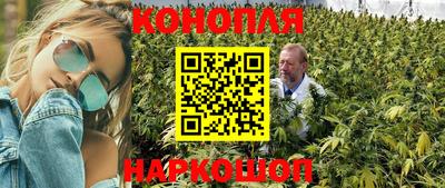 jwh Гай