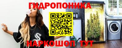 jwh Гай