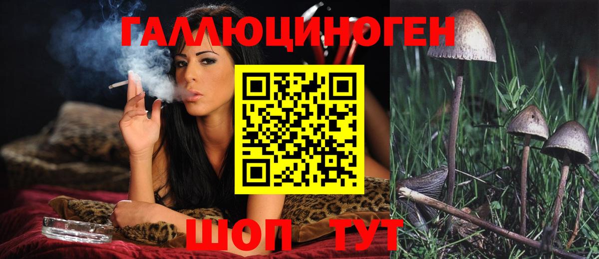Галлюциногенные грибы Cubensis  Вход с VPN  Мичуринск  Псилоцибиновые грибы мицелий 