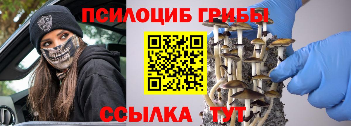 Псилоцибиновые грибы Magic Shrooms Мичуринск